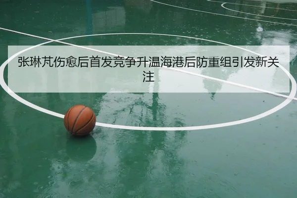 张琳芃伤愈后首发竞争升温海港后防重组引发新关注